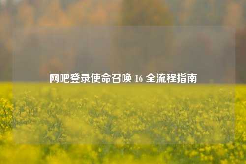 网吧登录使命召唤 16 全流程指南