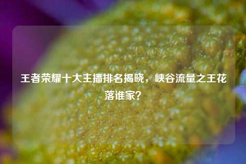 王者荣耀十大主播排名揭晓，峡谷流量之王花落谁家？