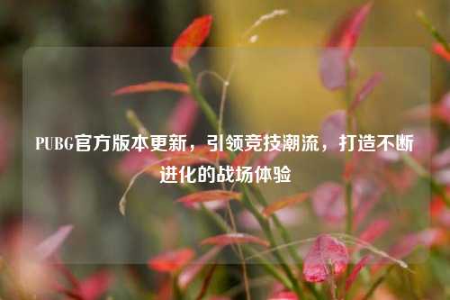 PUBG官方版本更新,引领竞技潮流,打造不断进化的战场体验