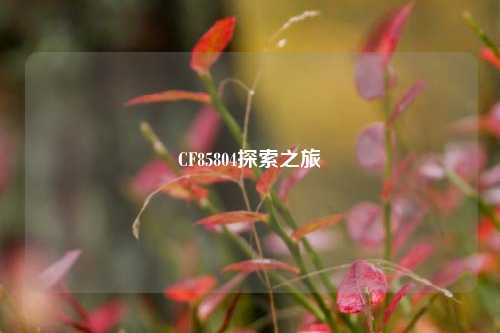 CF85804探索之旅