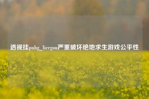 透视挂pubg_liergou严重破坏绝地求生游戏公平性