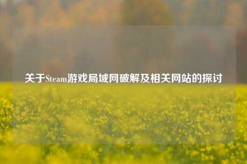 关于Steam游戏局域网破解及相关网站的探讨