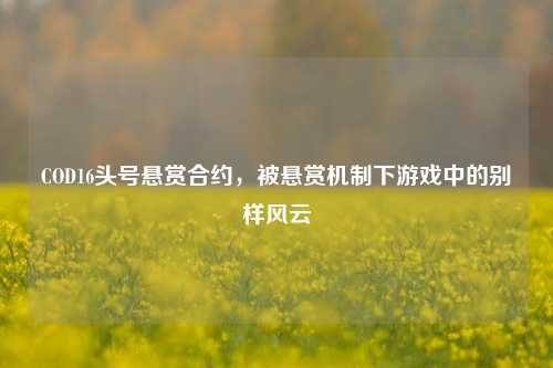 COD16头号悬赏合约,被悬赏机制下游戏中的别样风云