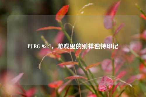 PUBG 9527,游戏里的别样独特印记