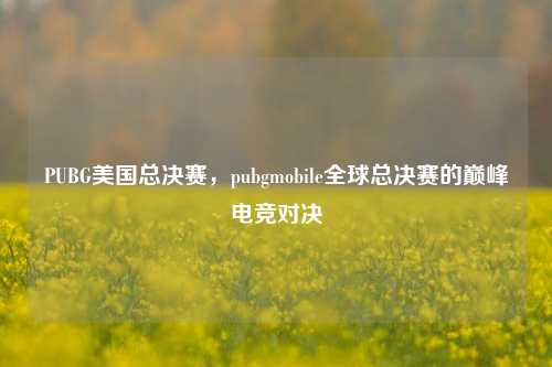 PUBG美国总决赛,pubgmobile全球总决赛的巅峰电竞对决