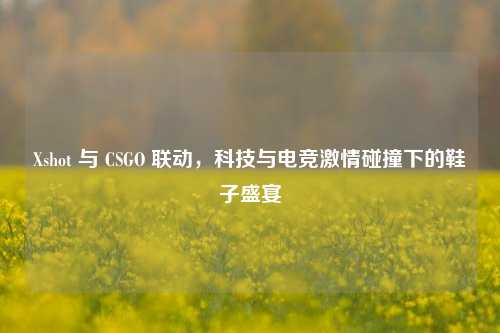 Xshot 与 CSGO 联动,科技与电竞激情碰撞下的鞋子盛宴