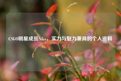 CSGO明星成员Niko，实力与魅力兼具的个人资料