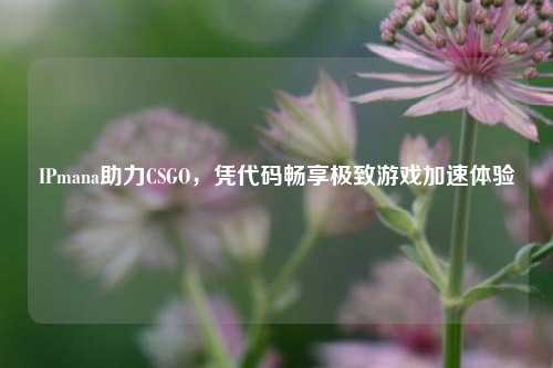 IPmana助力CSGO，凭代码畅享极致游戏加速体验