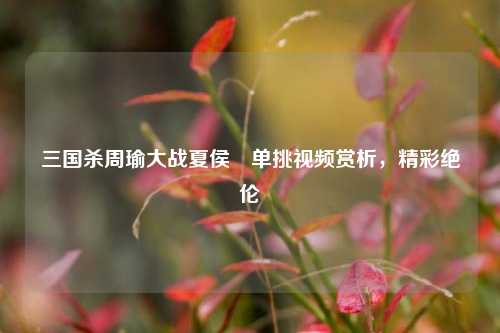 三国杀周瑜大战夏侯惇单挑视频赏析，精彩绝伦