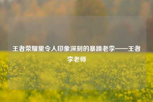 王者荣耀里令人印象深刻的暴躁老李——王者李老师