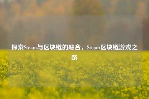 探索Steam与区块链的融合,Steam区块链游戏之路