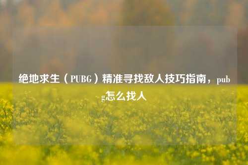 绝地求生(PUBG)精准寻找敌人技巧指南,pubg怎么找人