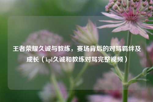 王者荣耀久诚与教练,赛场背后的对骂羁绊及成长(kpl久诚和教练对骂完整视频)