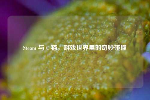 Steam 与 C 猫,游戏世界里的奇妙碰撞