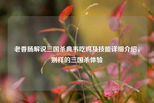 老香肠解说三国杀典韦吃鸡及技能详细介绍,别样的三国杀体验