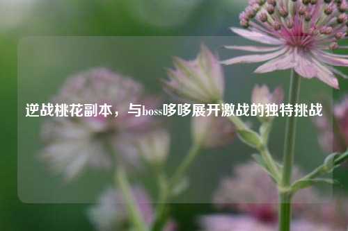 逆战桃花副本,与boss哆哆展开激战的独特挑战