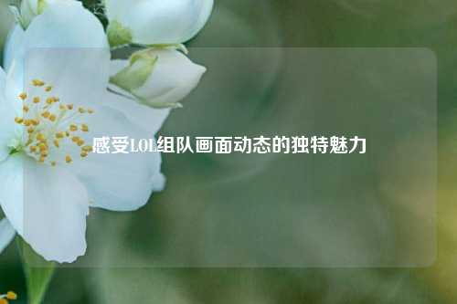 感受LOL组队画面动态的独特魅力