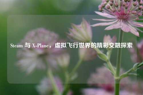 Steam 与 X-Plane,虚拟飞行世界的精彩交融探索