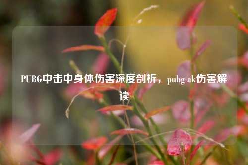 PUBG中击中身体伤害深度剖析,pubg ak伤害解读