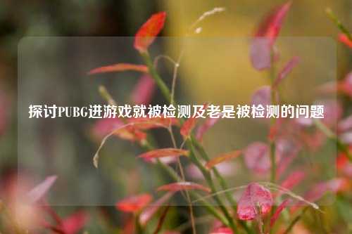 探讨PUBG进游戏就被检测及老是被检测的问题