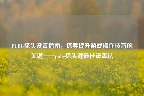 PUBG探头设置指南，探寻提升游戏操作技巧的关键——pubg探头键最佳设置法