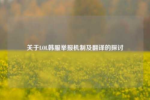 关于LOL韩服举报机制及翻译的探讨