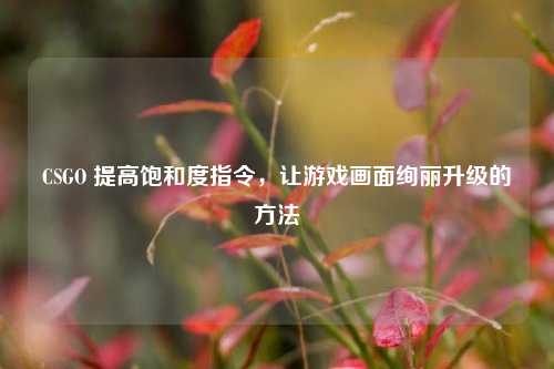 CSGO 提高饱和度指令,让游戏画面绚丽升级的方法
