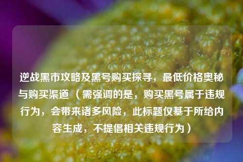 逆战黑市攻略及黑号购买探寻,最低价格奥秘与购买渠道 (需强调的是,购买黑号属于违规行为,会带来诸多风险,此标题仅基于所给内容生成,不提倡相关违规行为)