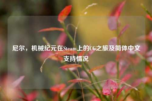 尼尔,机械纪元在Steam上的CG之旅及简体中文支持情况