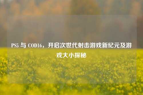 PS5 与 COD16，开启次世代射击游戏新纪元及游戏大小探秘