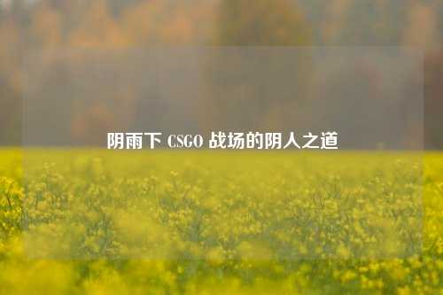 阴雨下 CSGO 战场的阴人之道
