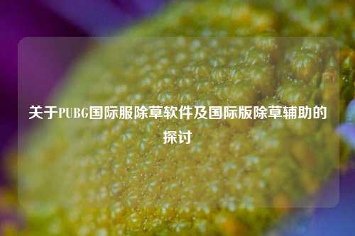 关于PUBG国际服除草软件及国际版除草辅助的探讨