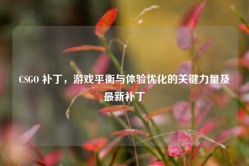 CSGO 补丁，游戏平衡与体验优化的关键力量及最新补丁