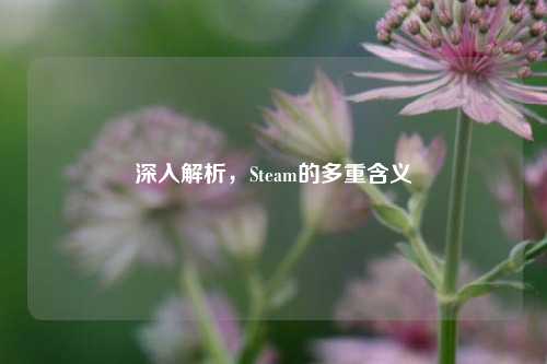 深入解析，Steam的多重含义
