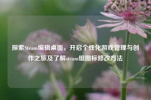 探索Steam编辑桌面,开启个性化游戏管理与创作之旅及了解steam组图标修改方法
