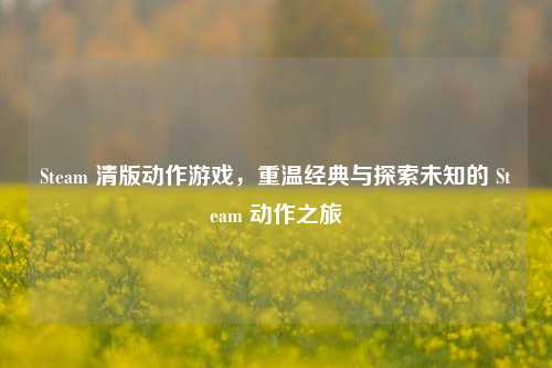 Steam 清版动作游戏,重温经典与探索未知的 Steam 动作之旅