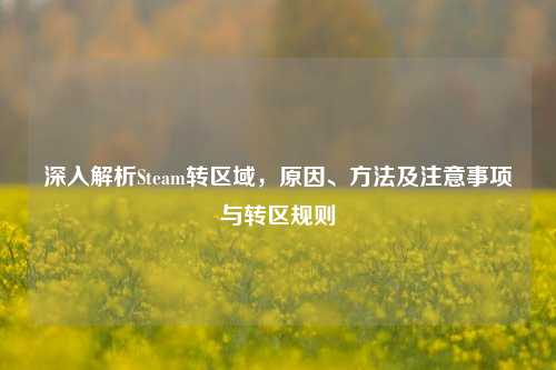 深入解析Steam转区域,原因、方法及注意事项与转区规则