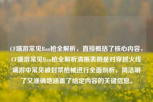 CF端游常见Ban枪全解析,直接概括了核心内容,CF端游常见Ban枪全解析清晰表明是对穿越火线端游中常见被封禁枪械进行全面剖析,简洁明了又准确地涵盖了给定内容的关键信息。