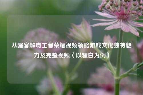 从骚客解毒王者荣耀视频领略游戏文化独特魅力及完整视频（以骚白为例）