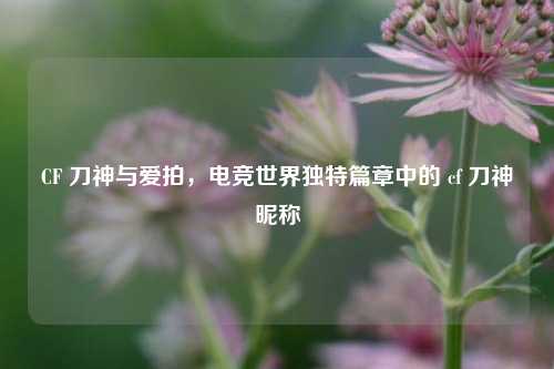 CF 刀神与爱拍,电竞世界独特篇章中的 cf 刀神昵称
