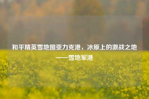 和平精英雪地图亚力克港,冰原上的激战之地——雪地军港