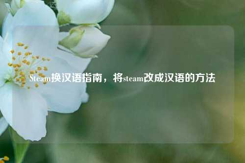 Steam换汉语指南,将steam改成汉语的方法