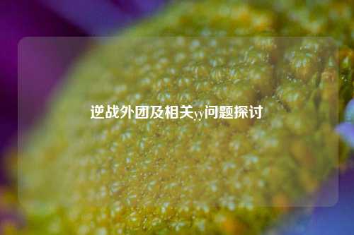 逆战外团及相关yy问题探讨