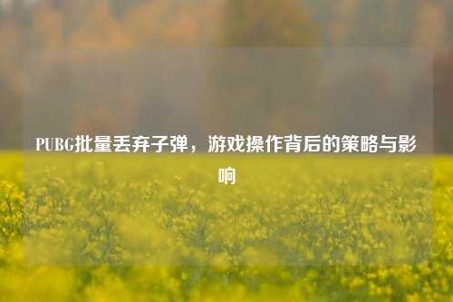 PUBG批量丢弃子弹,游戏操作背后的策略与影响