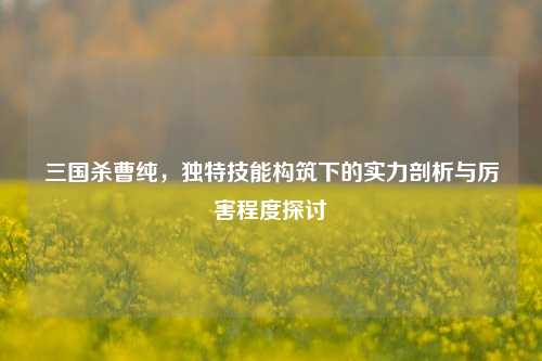 三国杀曹纯，独特技能构筑下的实力剖析与厉害程度探讨