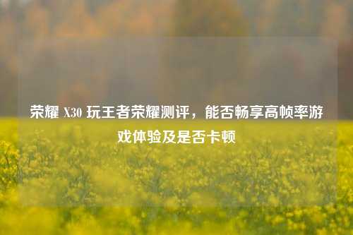 荣耀 X30 玩王者荣耀测评,能否畅享高帧率游戏体验及是否卡顿