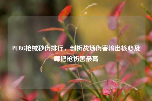PUBG枪械秒伤排行，剖析战场伤害输出核心及哪把枪伤害最高