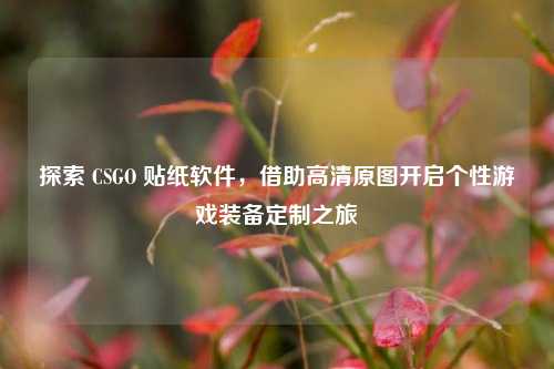 探索 CSGO 贴纸软件,借助高清原图开启个性游戏装备定制之旅