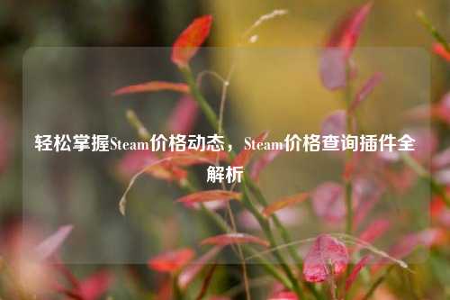 轻松掌握Steam价格动态,Steam价格查询插件全解析