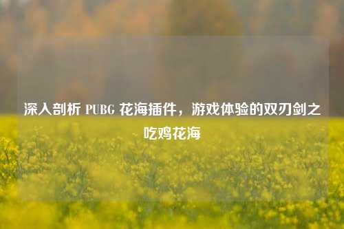 深入剖析 PUBG 花海插件,游戏体验的双刃剑之吃鸡花海